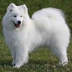 Meet your Posher, Claudia